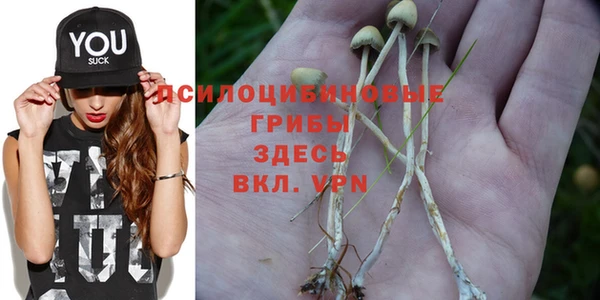 спайс Алзамай