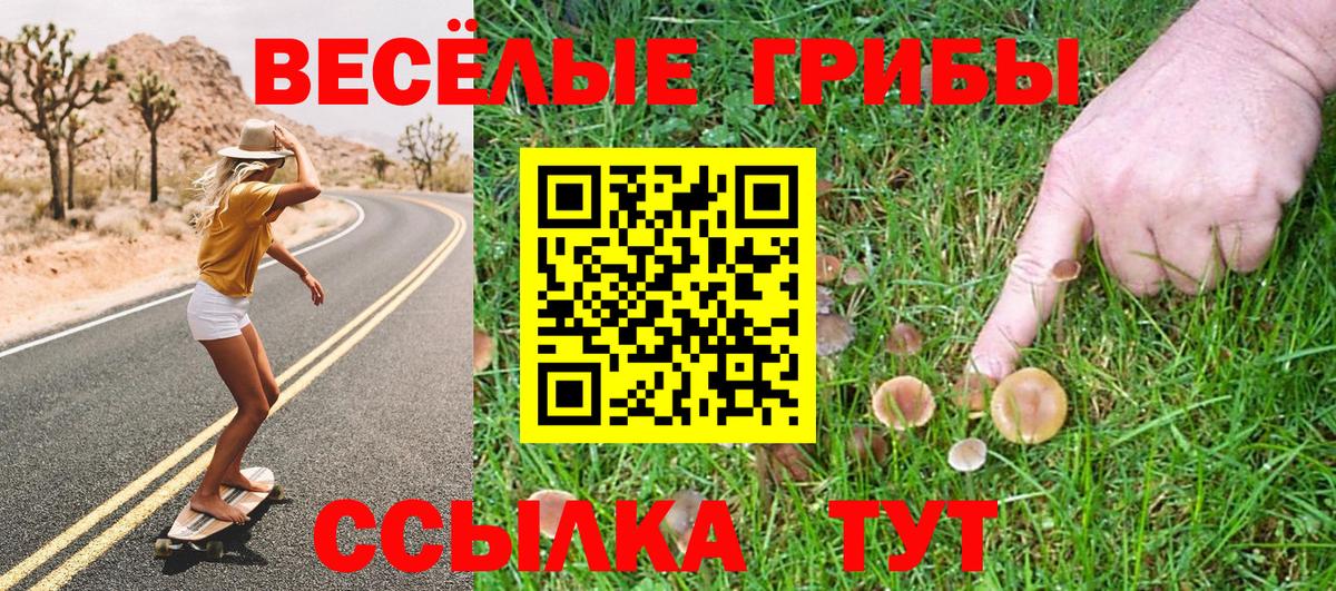 Галлюциногенные грибы Cubensis Краснотурьинск